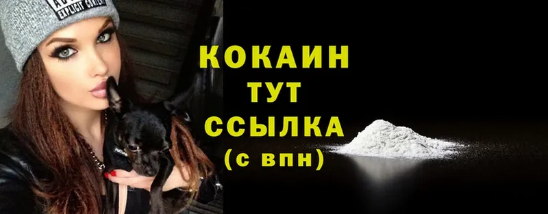 как найти наркотики  даркнет Telegram  MEGA маркетплейс  Cocaine Fish Scale  Спасск 